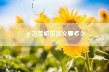 王者荣耀配铭文要多久