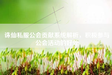 诛仙私服公会贡献系统解析，积极参与公会活动的好处