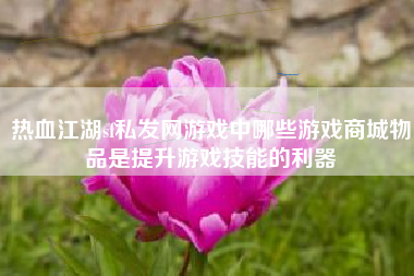 热血江湖sf私发网游戏中哪些游戏商城物品是提升游戏技能的利器
