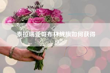 泰拉瑞亚哥布林战旗如何获得