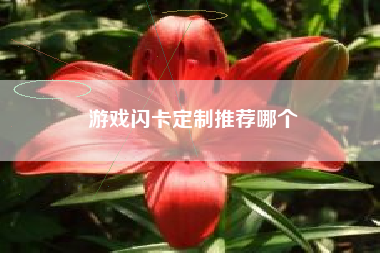游戏闪卡定制推荐哪个