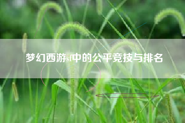梦幻西游sf中的公平竞技与排名