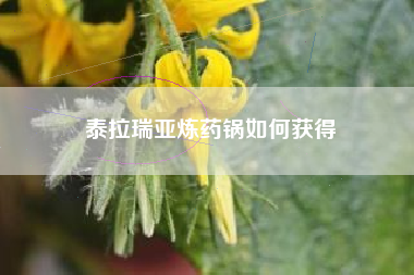 泰拉瑞亚炼药锅如何获得