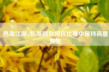 热血江湖sf私发网如何在比赛中保持高度警觉