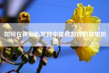 如何在诛仙私发网中提高游戏的装甲防御