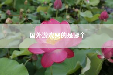 国外游戏哭的是哪个