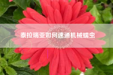 泰拉瑞亚如何速通机械蠕虫