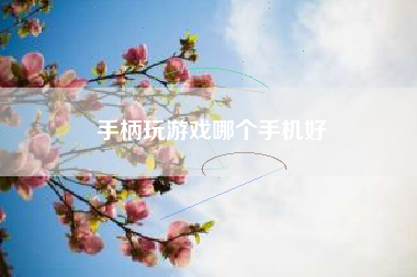 手柄玩游戏哪个手机好