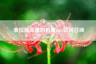 泰拉瑞亚里的机械boss如何召唤