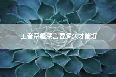 王者荣耀禁言要多久才能好