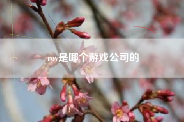 rov是哪个游戏公司的