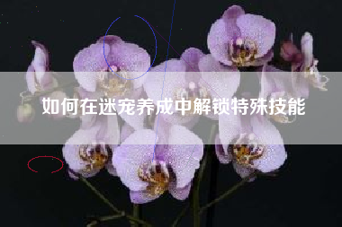 如何在迷宠养成中解锁特殊技能