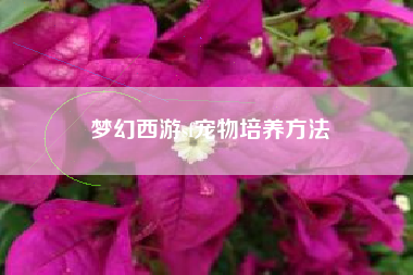 梦幻西游sf宠物培养方法
