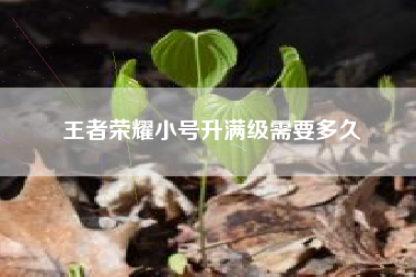 王者荣耀小号升满级需要多久