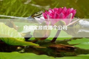 应用宝游戏哪个公司