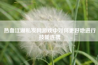 热血江湖私发网游戏中如何更好地进行技能连携