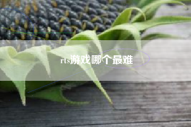 rts游戏哪个最难