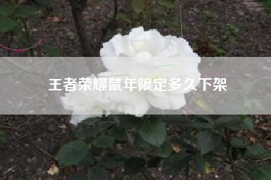 王者荣耀鼠年限定多久下架