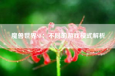 魔兽世界SF：不同的游戏模式解析