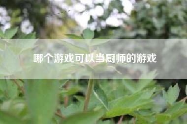 哪个游戏可以当厨师的游戏