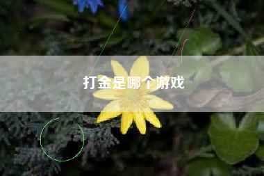 打金是哪个游戏