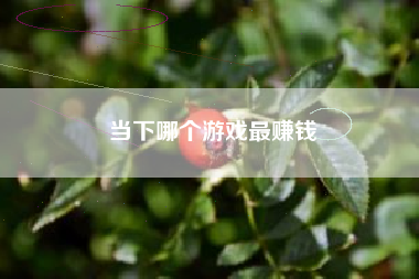 当下哪个游戏最赚钱