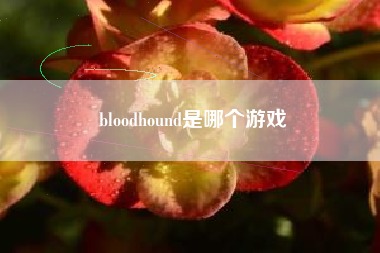 bloodhound是哪个游戏
