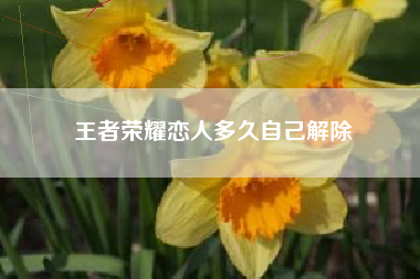 王者荣耀恋人多久自己解除