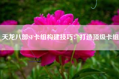 天龙八部SF卡组构建技巧：打造顶级卡组
