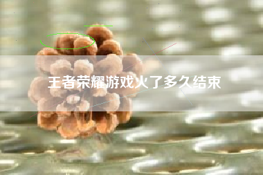 王者荣耀游戏火了多久结束