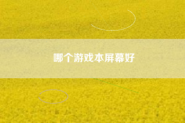 哪个游戏本屏幕好
