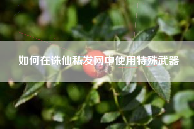 如何在诛仙私发网中使用特殊武器