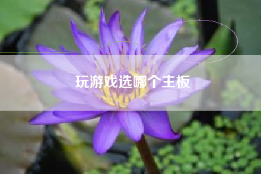 玩游戏选哪个主板