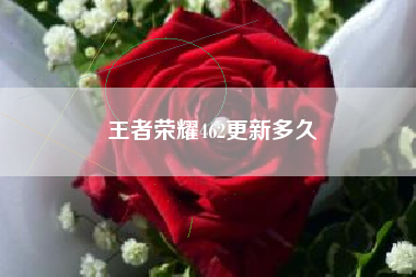 王者荣耀462更新多久