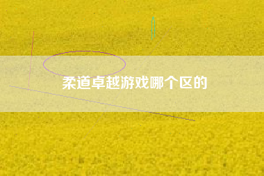 柔道卓越游戏哪个区的