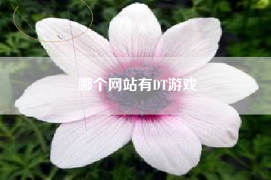 哪个网站有DT游戏