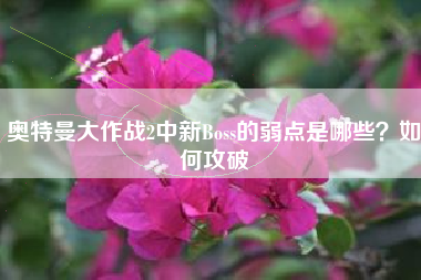 奥特曼大作战2中新Boss的弱点是哪些？如何攻破