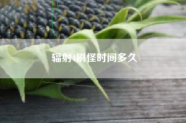 辐射4刷怪时间多久