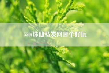 550t诛仙私发网哪个好玩