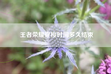王者荣耀穿梭时间多久结束