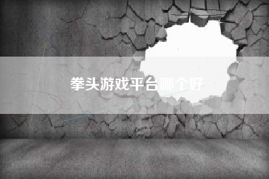 拳头游戏平台哪个好