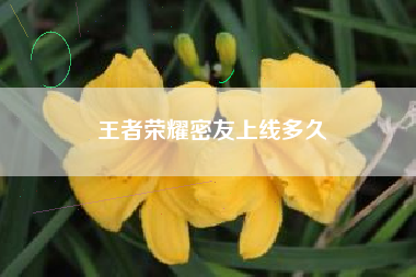 王者荣耀密友上线多久