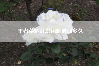 王者荣耀灯塔闪耀时间多久