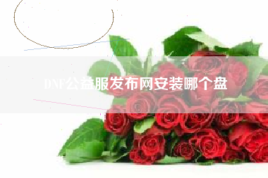 DNF公益服发布网安装哪个盘