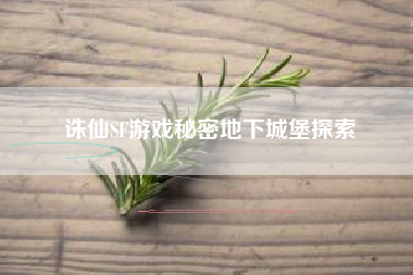 诛仙SF游戏秘密地下城堡探索