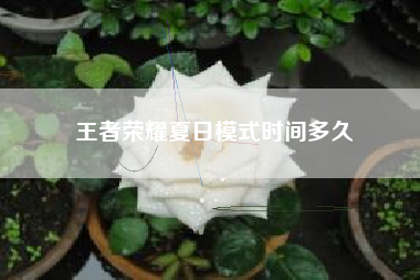 王者荣耀夏日模式时间多久