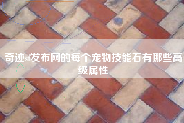 奇迹sf发布网的每个宠物技能石有哪些高级属性