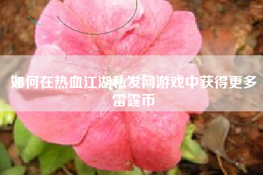 如何在热血江湖私发网游戏中获得更多雷霆币