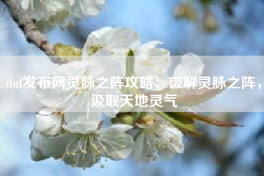 dnf发布网灵脉之阵攻略：破解灵脉之阵，汲取天地灵气