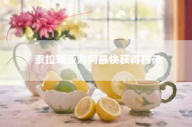 泰拉瑞亚如何最快获得扫帚